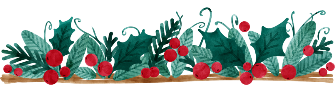 image of holly as a boarder